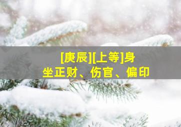 [庚辰][上等]身坐正财、伤官、偏印